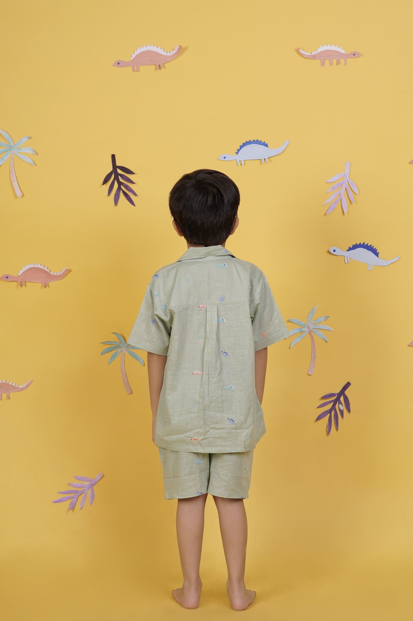 Dino Dudes Boys Coord set