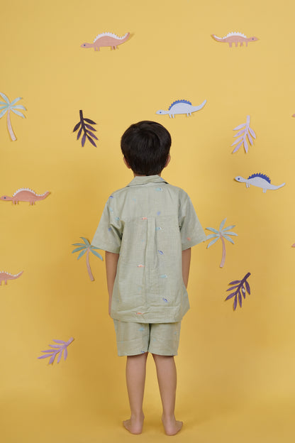 Dino Dudes Boys Coord set