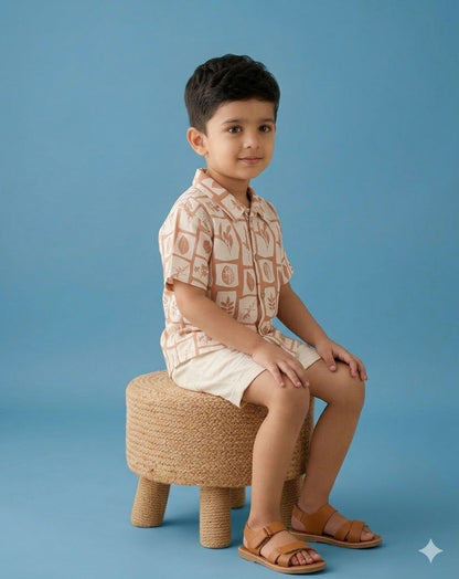 Terra Tales Brown Boys Coord Set